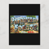 Groeten uit Petrified Forest Arizona Briefkaart (Voorkant)