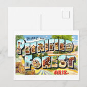  groeten uit Petrified Forest, Arizona Briefkaart (Voorkant / Achterkant)