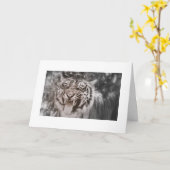 Groeten uit Pride Rock Kaart (Gele Bloem)