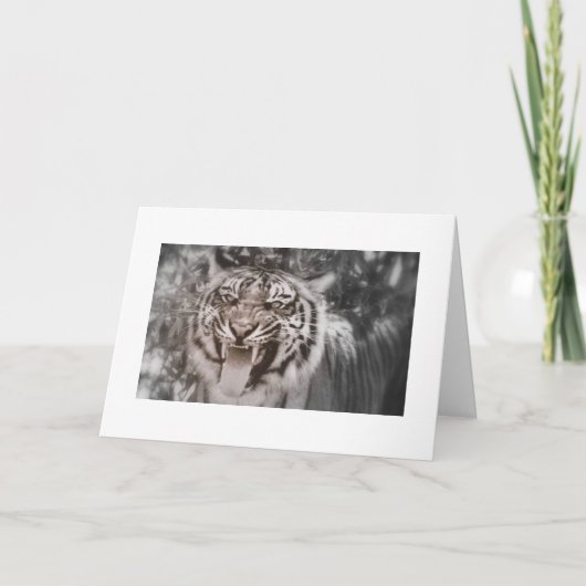 Groeten uit Pride Rock Kaart (Voorkant)