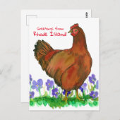 Groeten uit Rhode Island Red Hen Violets Briefkaart (Voorkant / Achterkant)