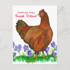 Groeten uit Rhode Island Red Hen Violets Briefkaart