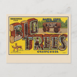 Groeten uit Santa Cruz Large Letter Briefkaart