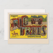 Groeten uit Santa Cruz Large Letter Briefkaart (Voorkant / Achterkant)