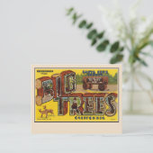 Groeten uit Santa Cruz Large Letter Briefkaart (Staand voorkant)