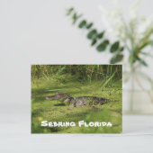 Groeten uit Sebreng Florida Briefkaart (Staand voorkant)