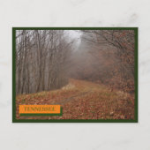 Groeten uit Smoky Mountains Tennessee Briefkaart (Voorkant)