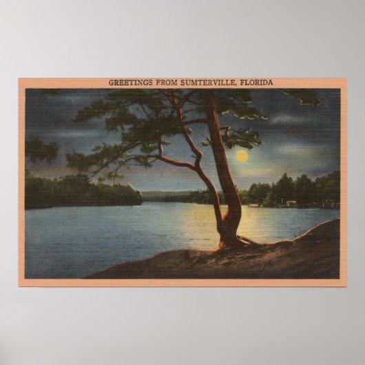 Groeten uit Sumterville, Florida - Moon Poster (Voorkant)