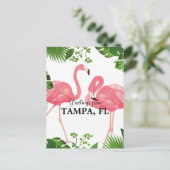 Groeten uit Tampa, FL Briefkaart (Staand voorkant)