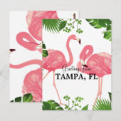 Groeten uit Tampa, FL Briefkaart (Voorkant / Achterkant)
