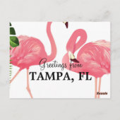 Groeten uit Tampa, FL Briefkaart (Achterkant)