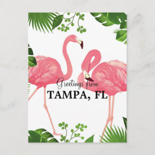 Groeten uit Tampa, FL Briefkaart