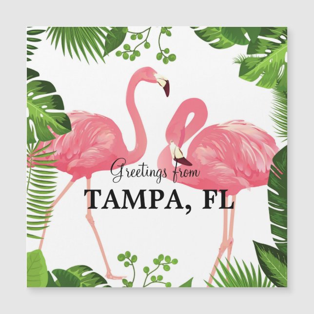 Groeten uit Tampa, Florida (Voorkant)