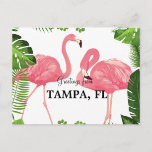 Groeten uit Tampa, Florida Briefkaart