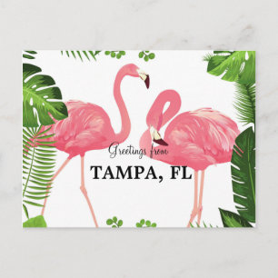 Groeten uit Tampa, Florida Briefkaart