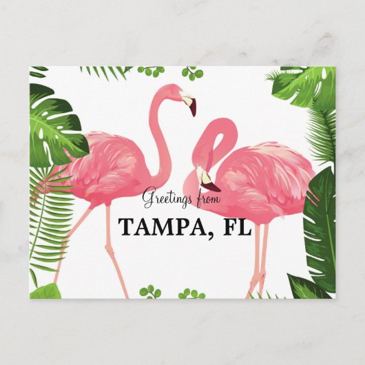 Groeten uit Tampa, Florida Briefkaart (Voorkant)