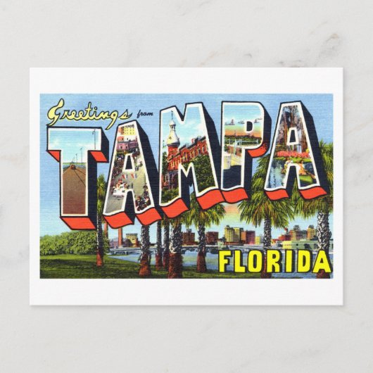  groeten uit Tampa, Florida Briefkaart (Voorkant)
