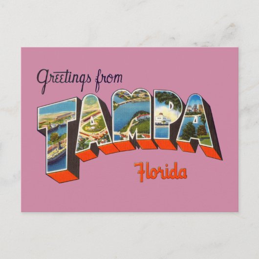Groeten uit Tampa, Florida Briefkaart (Voorkant)