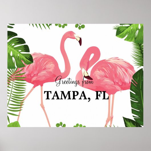 Groeten uit Tampa, Florida Poster (Voorkant)