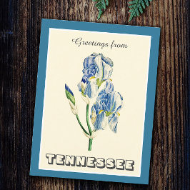  groeten uit Tennessee Blue Iris Briefkaart
