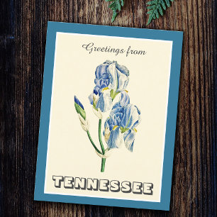  groeten uit Tennessee Blue Iris Briefkaart