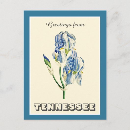  groeten uit Tennessee Blue Iris Briefkaart (Voorkant)