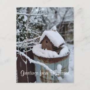 GROETEN UIT TENNESSEE winter foto van vogelhuisje Briefkaart
