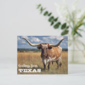 Groeten uit Texas Longhorn Bull Briefkaart (Staand voorkant)