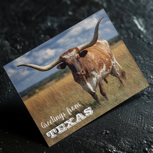 Groeten uit Texas Longhorn Bull Briefkaart