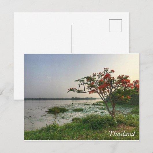 Groeten uit Thailand Briefkaart (Voorkant / Achterkant)