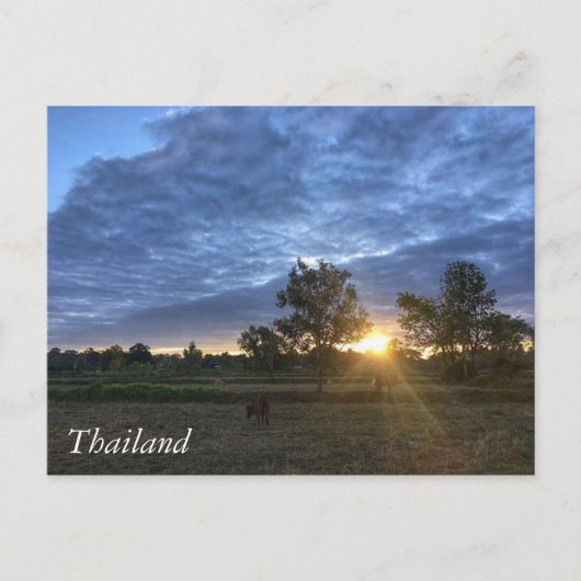 Groeten uit Thailand Briefkaart (Voorkant)
