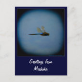 Groeten uit Vacation Country briefkaart (Voorkant)