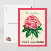 Groeten uit West Virginia Rhododendron Briefkaart (Voorkant / Achterkant)