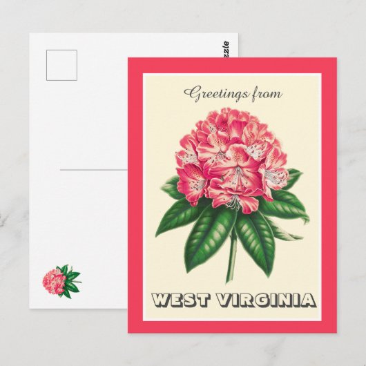 Groeten uit West Virginia Rhododendron Briefkaart (Voorkant / Achterkant)