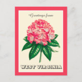 Groeten uit West Virginia Rhododendron Briefkaart (Voorkant)