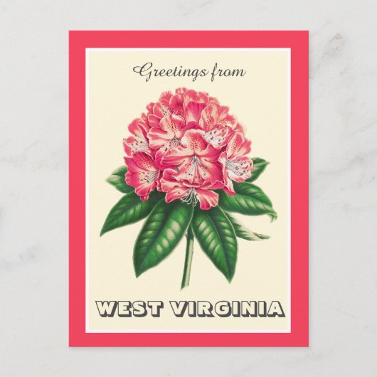 Groeten uit West Virginia Rhododendron Briefkaart (Voorkant)