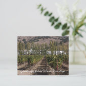 Groeten uit Wijnland! Briefkaart (Staand voorkant)