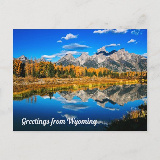 Groeten uit Wyoming Briefkaart (Voorkant)