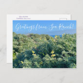 Groeten uit Zee Ranch. Briefkaart (Voorkant / Achterkant)