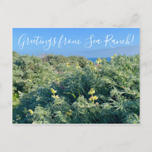 Groeten uit Zee Ranch. Briefkaart