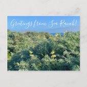 Groeten uit Zee Ranch. Briefkaart (Voorkant)