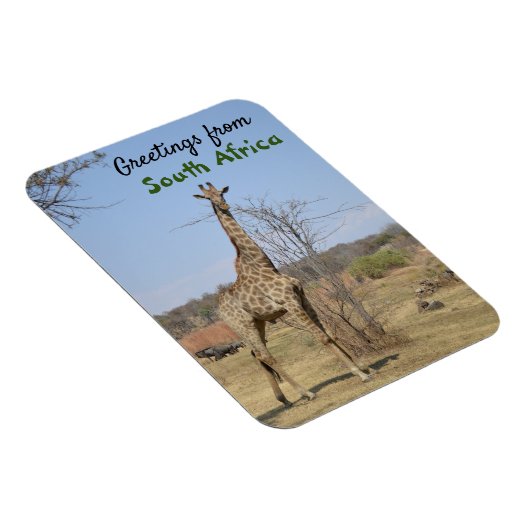 Groeten uit Zuid-Afrika Magneet (Rechterzijde)