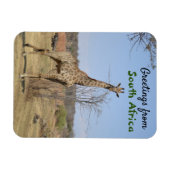 Groeten uit Zuid-Afrika Magneet (Horizontaal)