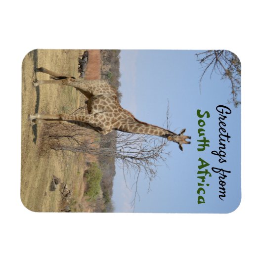 Groeten uit Zuid-Afrika Magneet (Horizontaal)