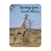 Groeten uit Zuid-Afrika Magneet (Verticaal)