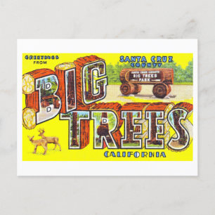  groeten van Big Trees, Californië, Briefkaart