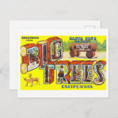  groeten van Big Trees, Californië, Briefkaart (Voorkant / Achterkant)