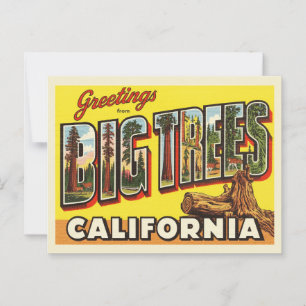  "Groeten van Big Trees, Californië" Briefkaart