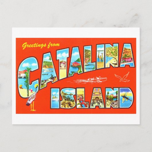  groeten van Catalina Island Briefkaart (Voorkant)