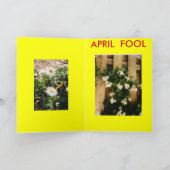 GROETEN VAN DE DUISTERE KANT KAART (Binnen)